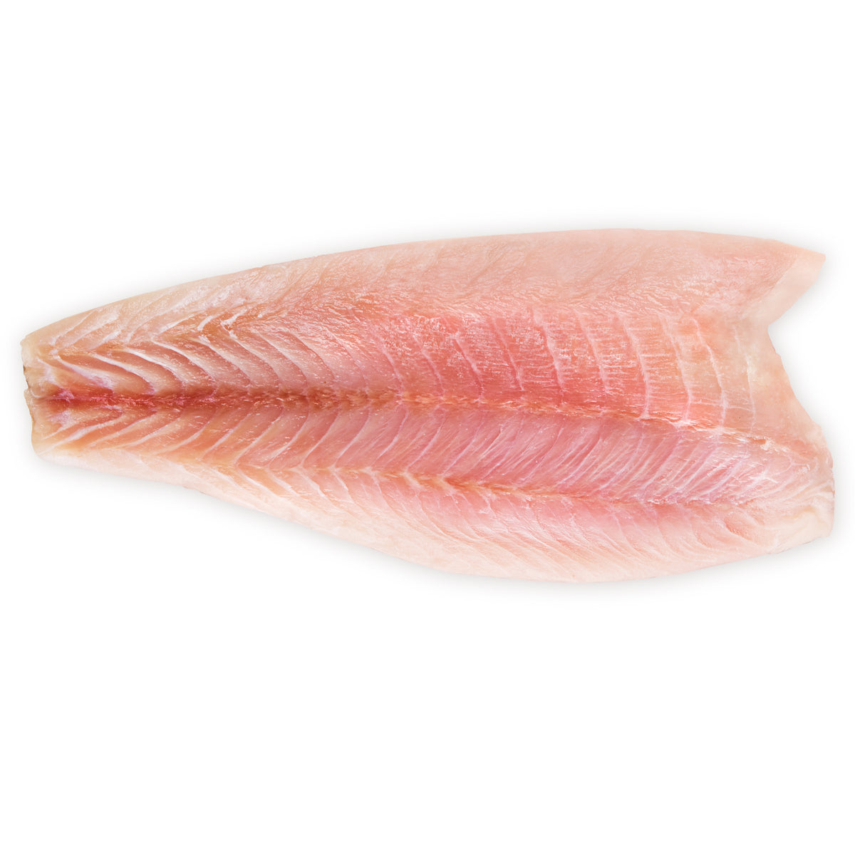 Bhetki/Asian Sea Bass Fillet SeasTheDay